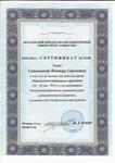 Сертификат В.С. Садовникова "Оценка инвестиционных проектов"